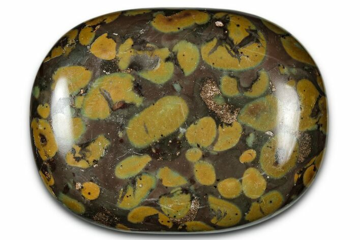Polished Fruit Jasper Palm Stone - India #342234